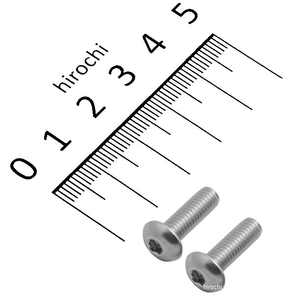 920515-B2 ポッシュ POSH ステンレスボタンキャップボルト M5X15 2個入り