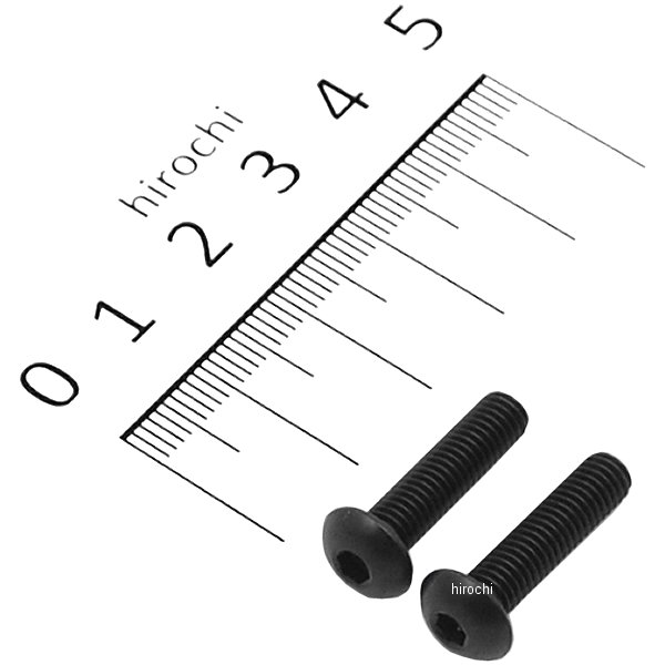 920520-B9 ポッシュ POSH ステンレスブラックボタンキャップボルト M5X20 黒 2個入り