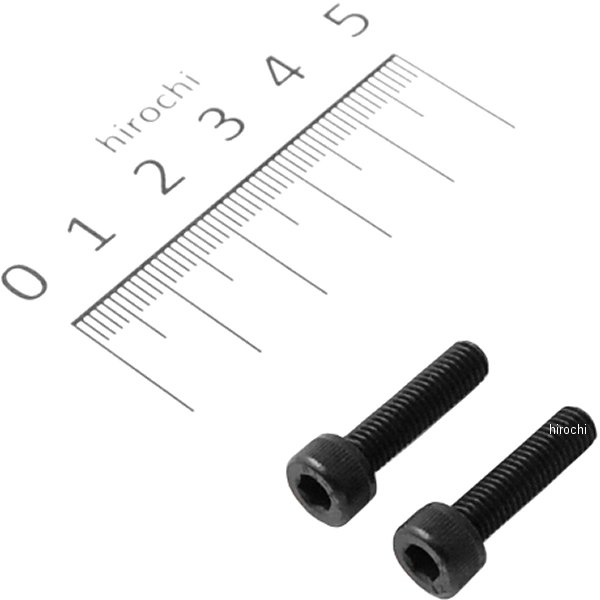 920520-K2 ポッシュ POSH ステンレスブラックキャップボルト M5X20 黒 2個入り