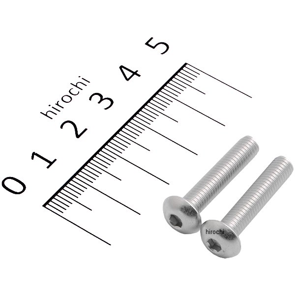 920525-B2 ポッシュ POSH ステンレスボタンキャップボルト M5X25 2個入り