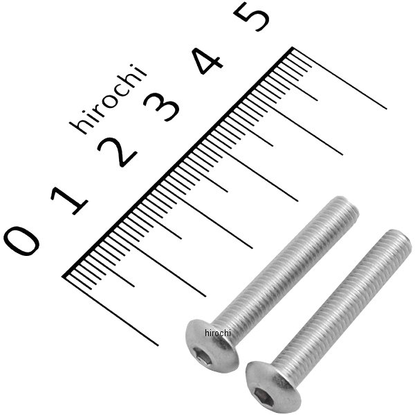 920530-B2 ポッシュ POSH ステンレスボタンキャップボルト M5X30 2個入り