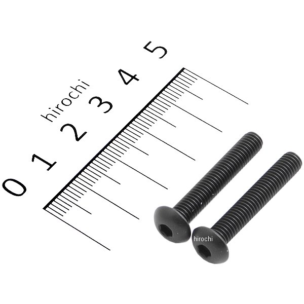 920530-B9 ポッシュ POSH ステンレスブラックボタンキャップボルト M5X30 黒 2個入り