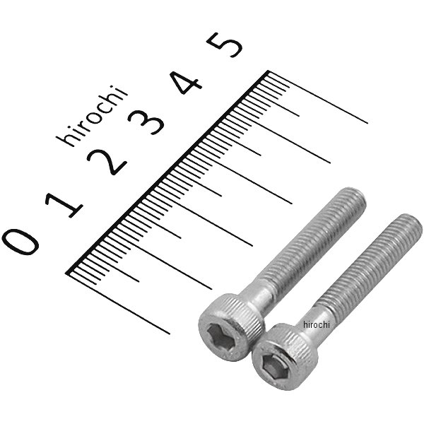 920530-S2 ポッシュ POSH キャップボルトセット 汎用 M5x30mm ステンレス 2本入り