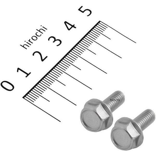 920615-S2 ポッシュ POSH フランジ六角ボルトセット 汎用 M6x15mm ステンレス 2本入り