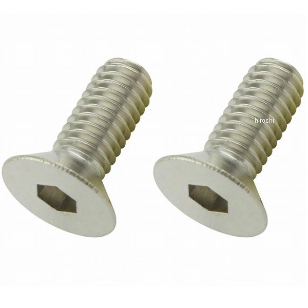990615-S2 ポッシュ POSH 皿キャップボルト M6 15mm 2本入り ステンレス