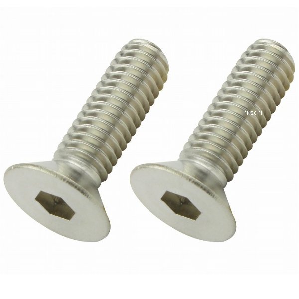 990620-S2 ポッシュ POSH 皿キャップボルト M6 20mm 2本入り ステンレス