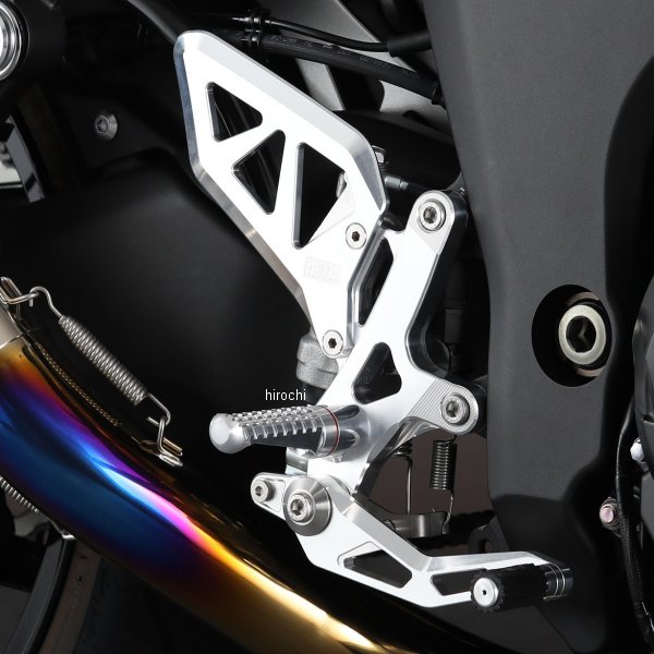 AE-10097-WT アエラ AELLA ステップ NINJA1000SX 白