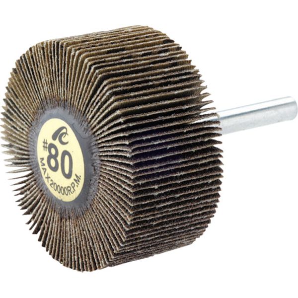 AF801540 (株)イチグチ AC フラップホイル 軸径6mm ＃40 外径80×幅15×軸長40 5個入り