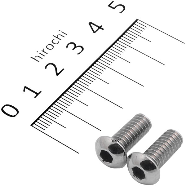 BC10405P-02 ポッシュ POSH ボタンキャップ 1/4-20X5/8 2個入り