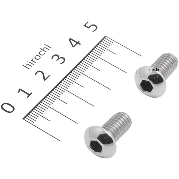 BC10505P-02 ポッシュ POSH ボタンキャップ 5/16-18X5/8 2個入り