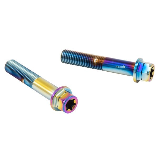 CMBF-060T ブレンボ brembo ステンレスキャリパーマウントボルト 60mm フランジ六角 M10/P1.25 ヘクサロビュラ 2本入 チタン