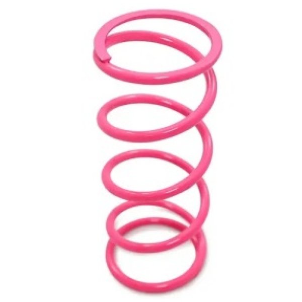 Dynojet 17年-21年 Can-Am Maverick X3 Primary Clutch スプリング - Hot Pink