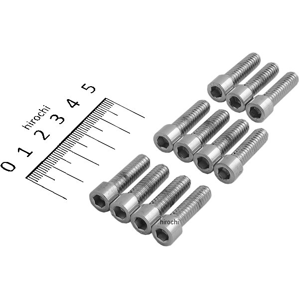 DS-190536S DRAG 六角穴付きボタンボルト 1/4"-20 x 7/8インチ(22mm) クローム/無地 (10個入り)