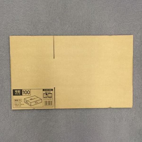 EA995BS-101 エスコ ESCO 454x244x161mm ダンボール（シングル／10枚）