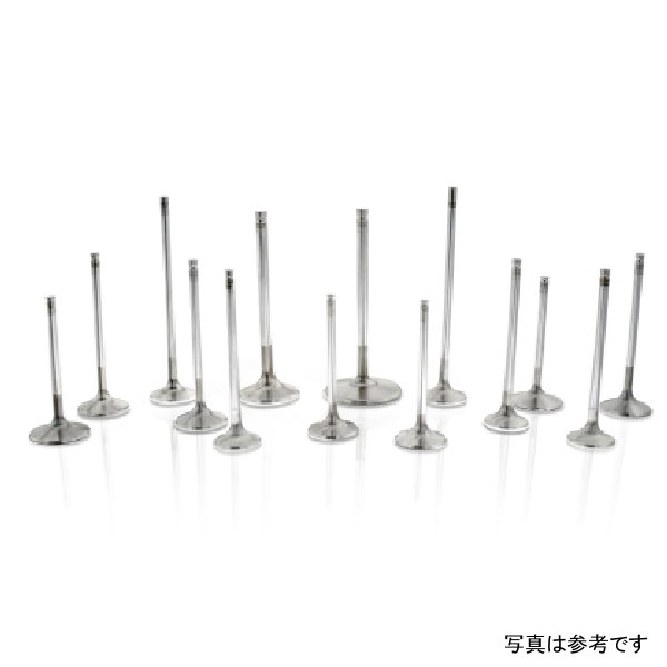 Ferrea 28mm 5.97mm 102mm 24度フローティング ステンレス トリプルグルーブ スーパーアロイ エキゾーストバルブ 10個セット