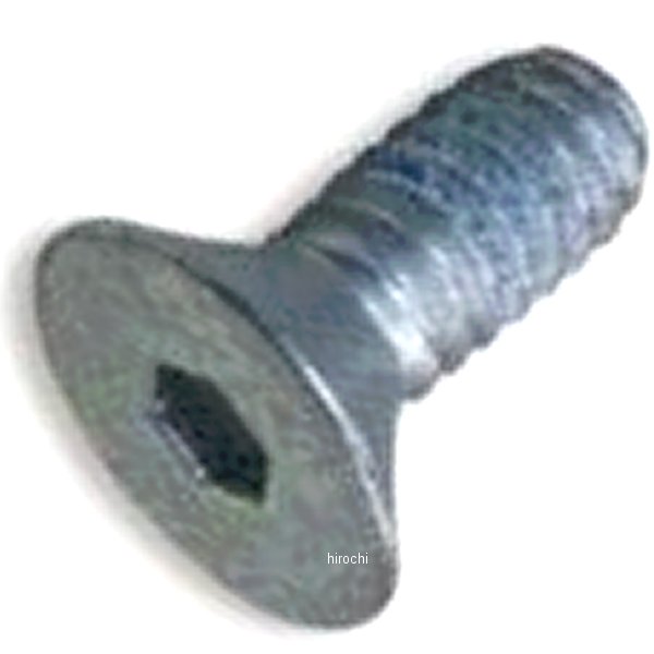 GC-710505 ガッツクローム インスペクションカバースクリュー 91年以降 XL