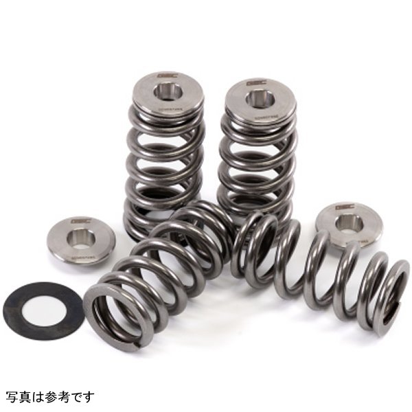 GSC P-D 2017+ Audi RS3 DAZA Beehive Valve Spring and Ti リテーナーキット (60PSI Max Boost)