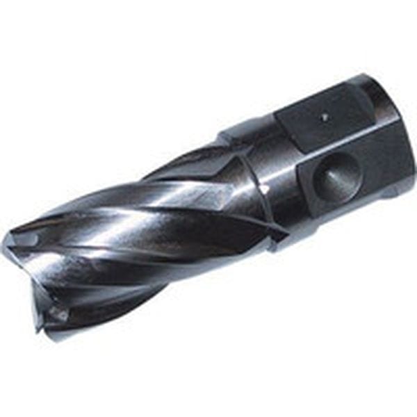 HCSQ160 248-3190 大見工業(株) 大見 25SQハイスカッター 刃径16.0mm