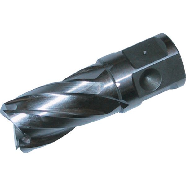 HCSQ240 248-3220 大見工業(株) 大見 25SQハイスカッター 刃径24.0mm