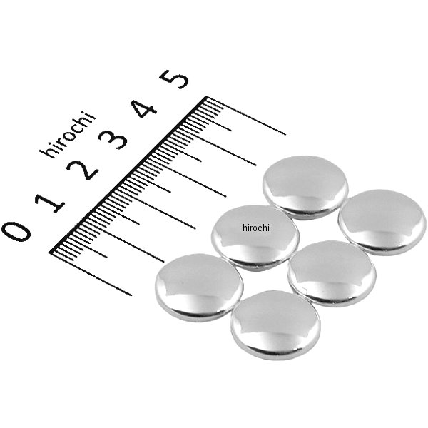 HN8210C ハリケーン ソケットボルトキャップ M10 メッキ (6個入り)