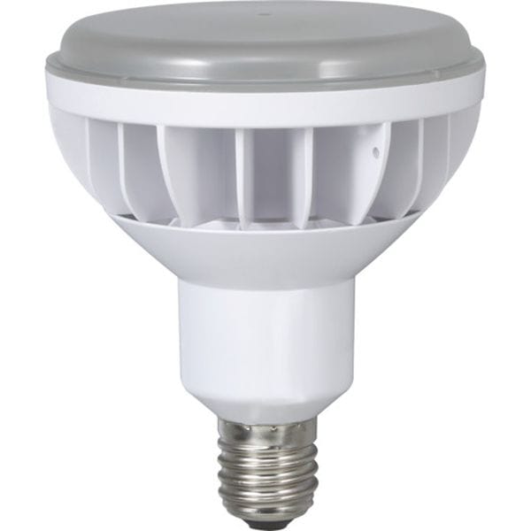 LDR40NH110 126-5021 (株)ハタヤリミテッド ハタヤ 40WLED作業灯 交換球