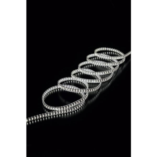 LTP5D (株)ハタヤリミテッド ハタヤ LEDテープライト両面発光タイプ(5m)単体(テープライトのみ)