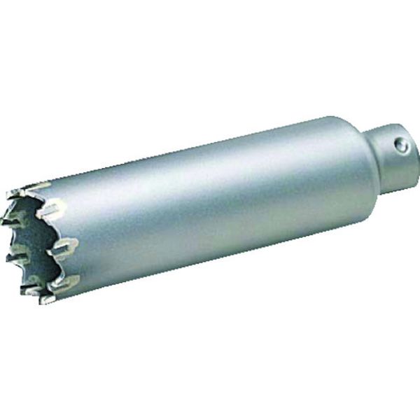 PSI025C 733-4931 ボッシュ(株) ボッシュ ポリクリック 振動コアカッター