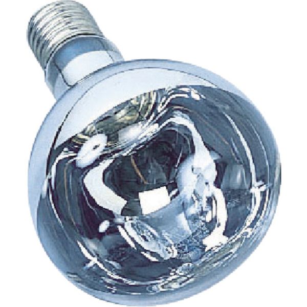 RS300WH 106-2026 (株)ハタヤリミテッド ハタヤ リフレクターランプ300W (RC、RE、RG型用)