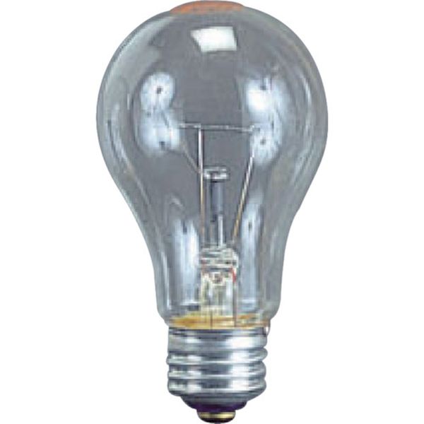 TD100 370-4700 (株)ハタヤリミテッド ハタヤ 耐振電球100W (ILI、KL型用)