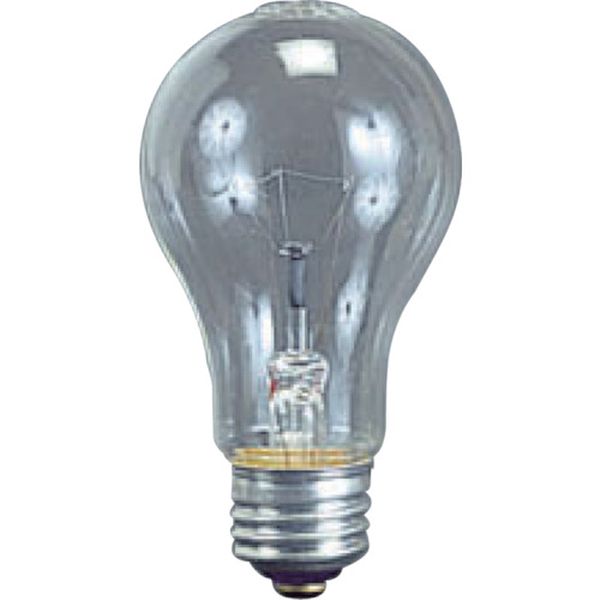 TD60 370-4726 (株)ハタヤリミテッド ハタヤ 耐振電球60W (ILI、KL型用)