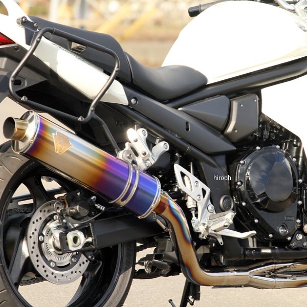 WS09-01CF アールズギア r's gear フルエキゾースト ワイバン 07年以降 バンディット BANDIT1250 真円カーボン