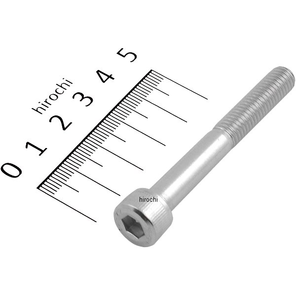 XXBL-CBM8-60 アールズギア r's gear ステンキャップボルト M8X60