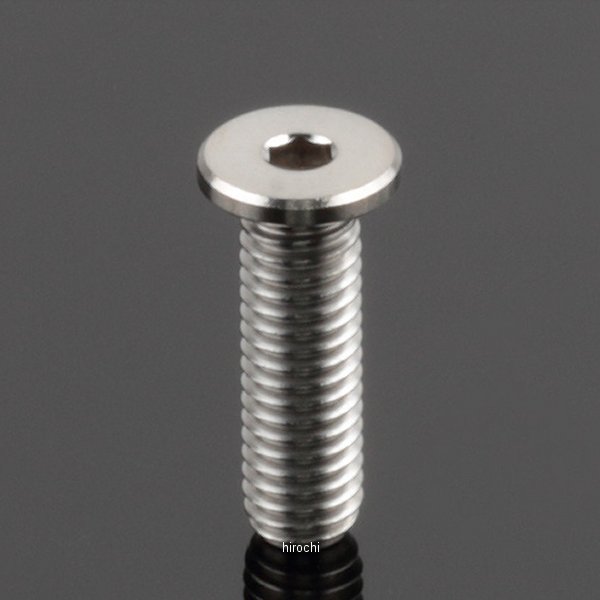 ZT07-3620 ジータ ZETA Z-チタン キャップスクリュー M6 P1.0 エクストラローヘッド 20mm