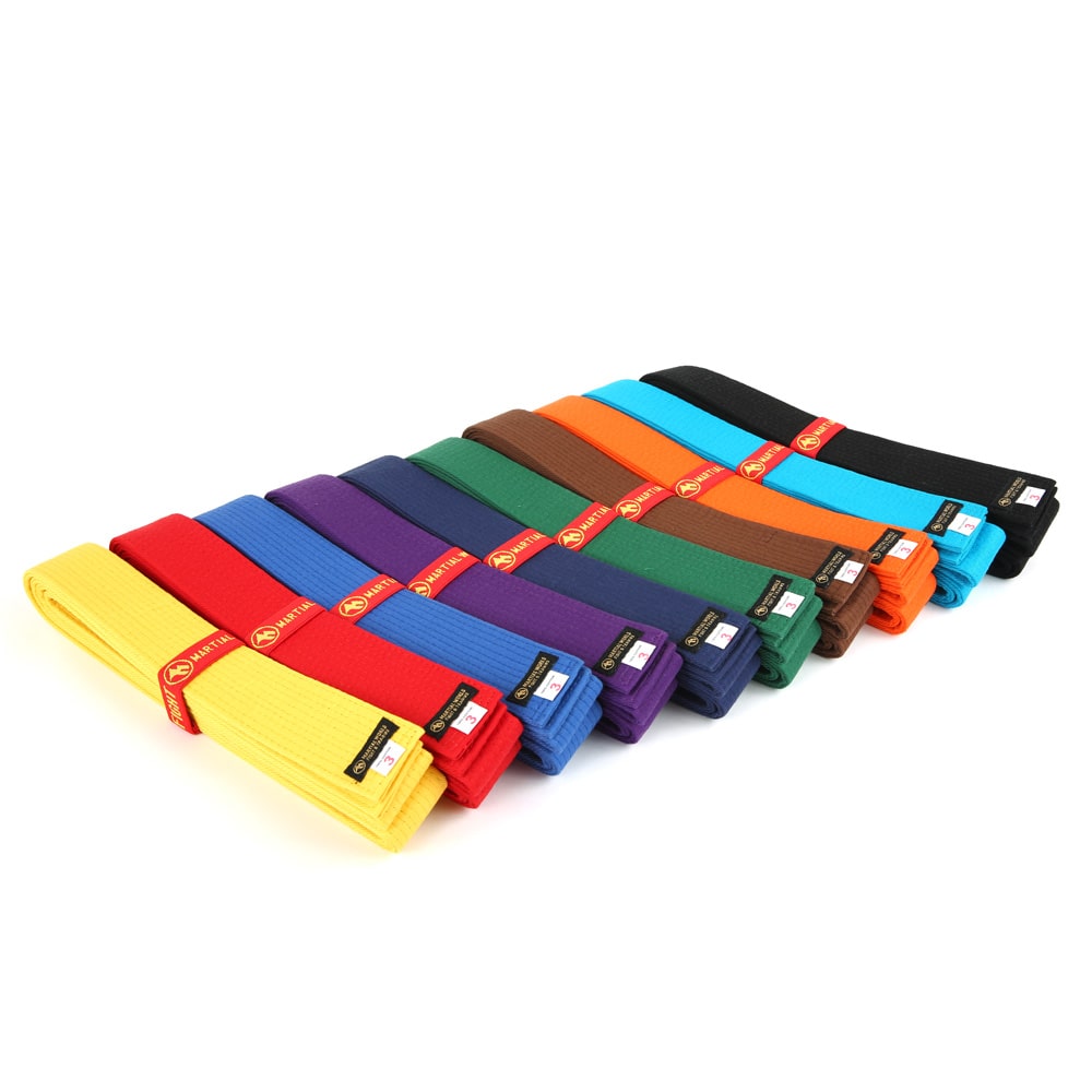 マーシャルワールド 色帯 CB19 1号/210cm 紫