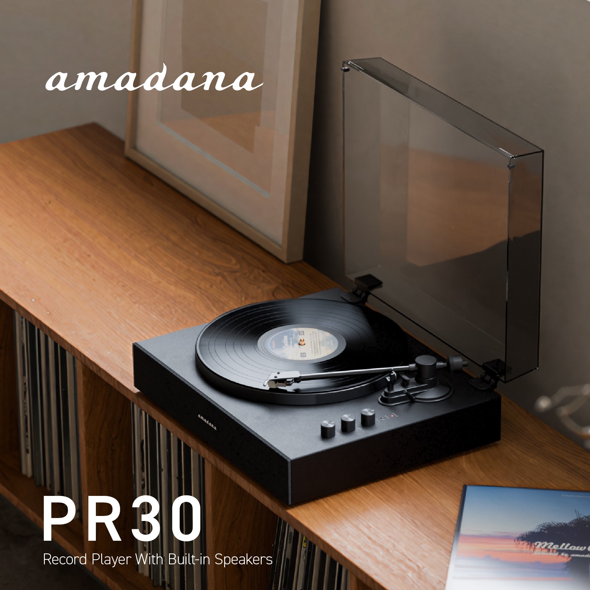 amadana レコードプレーヤー PR30