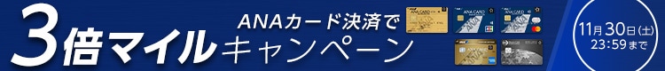 ANAカード決済限定！ANA Mall 3倍マイルキャンペーン2024秋