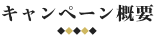 キャンペーン概要