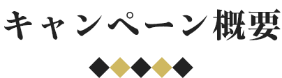 キャンペーン概要