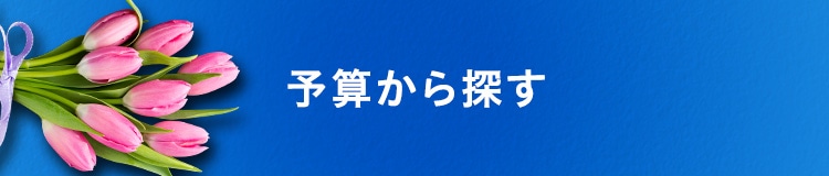予算から探す