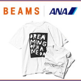 BEAMS for ANA