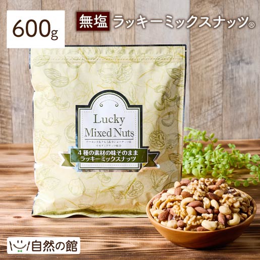 ミックスナッツ おつまみ ラッキーミックスナッツ 4種入り 600g 送料無料 無塩  非常食 備蓄品 業務用 大容量 宅配便 家飲み 宅飲み 訳あり(簡易梱包)