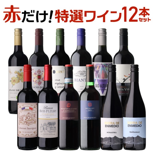ワインセット 赤だけ！特選ワイン12本セット 12弾 浜運【送料無料】