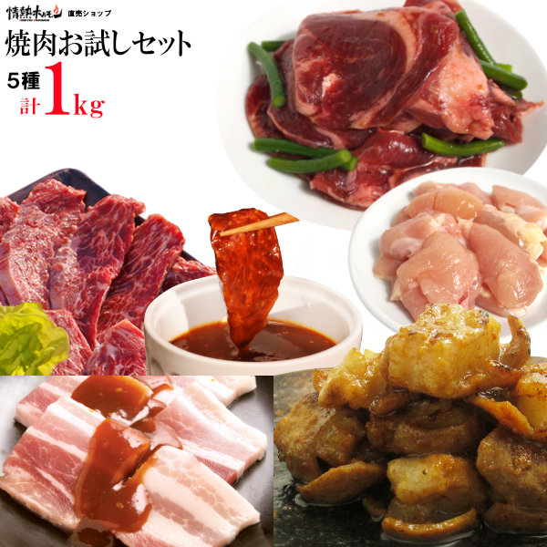 肉 食品 焼き肉 焼肉 計1kg 情熱の 焼肉 5種 お試し セット ハラミ プルコギ牛タン 牛ホルモン 鶏カルビ 豚バラ バーベキュー BBQ 牛肉 肉（北海道・沖縄配送は別途送料追加）