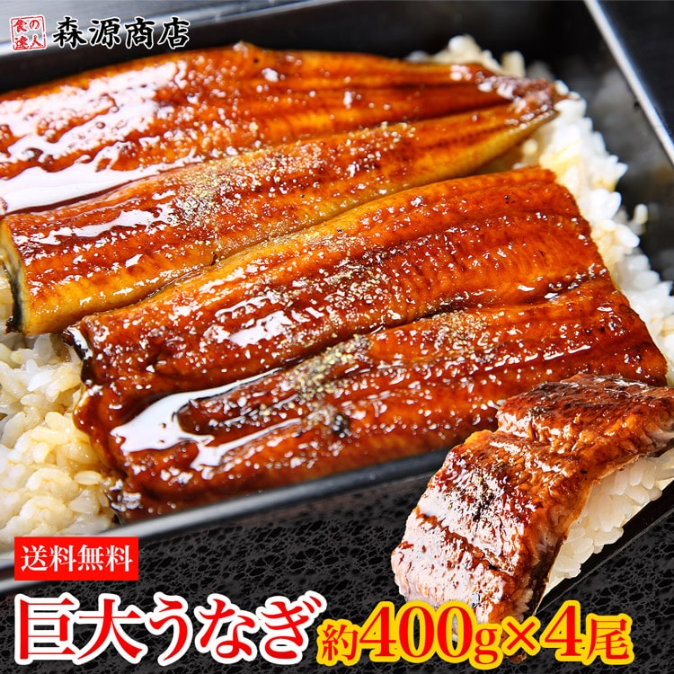 うなぎ 蒲焼き 鰻 約1.6kg (約400g前後×4尾)