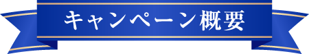 キャンペーン概要
