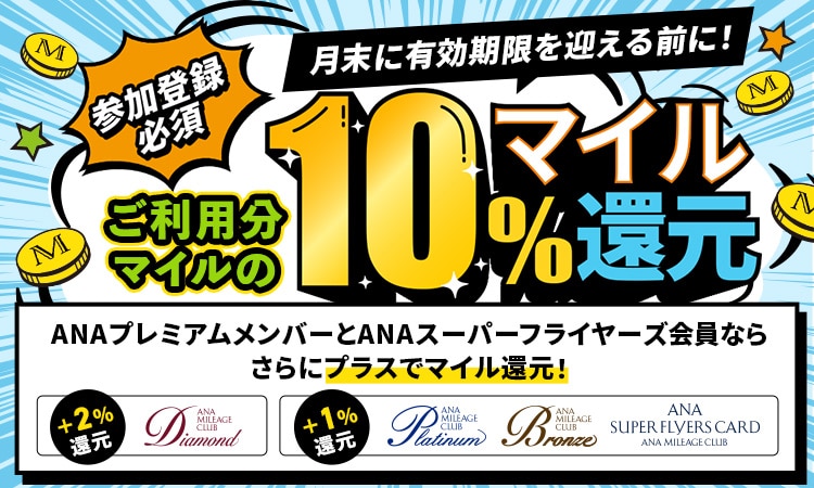 ブラックジャック 業務用純正バルブ（球のみ）送料別 60日保証付 在庫納期1〜2営業日/欠品納期1週間〜 楽天ランキング1位入賞ブレーキブリーダー ブレーキフルード オイルチェンジャー ワンウェイバルブ 逆流防止弁 ワンマンブリーダー オイル処理箱  逆止弁 エア抜き | ホリック