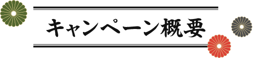 キャンペーン概要