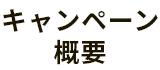 キャンペーン概要