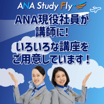 STUDYFLY